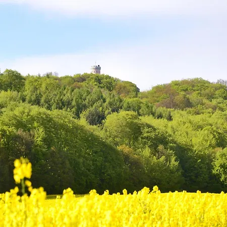Family Complex In דירה